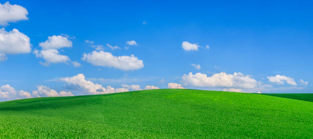 istock Panoramic spring landscape XXXXL 68 MPix - green field, blue sky 1457380716