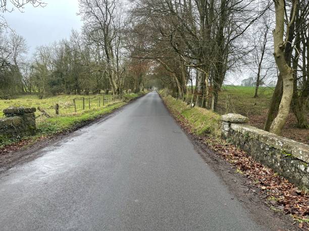 istock Crebilly Road near Ballymena 1457383754