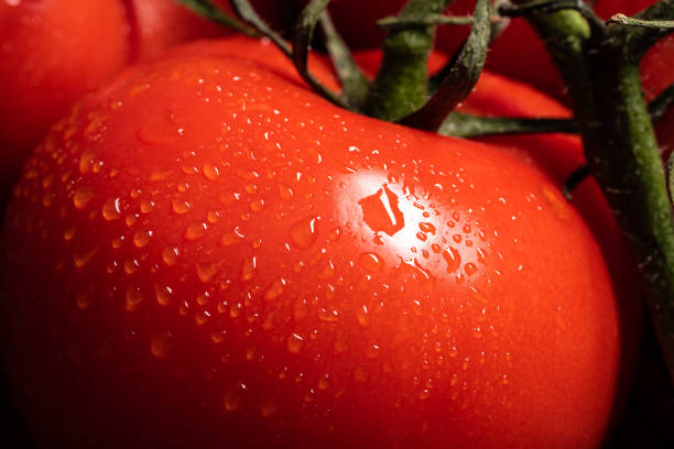 istock Tomatoes with water drops on wooden 1457387105