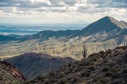 El saguaro solitario se alza entre las majestuosas curvas de las montañas McDowell photo