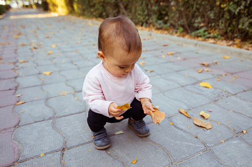 Toddler child girl squat sitting on pavement picking up leafs