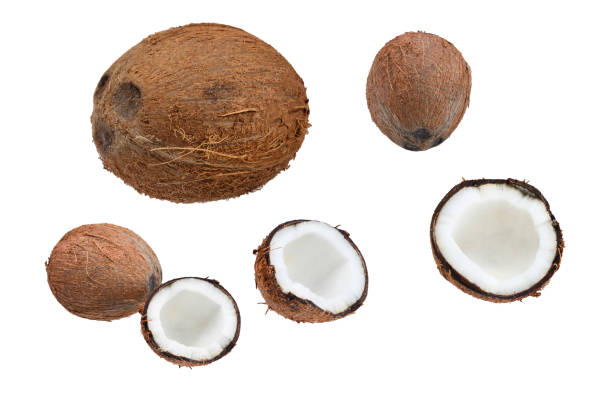 istock Coconut isolated on white background. Space for text or design. 1457393439