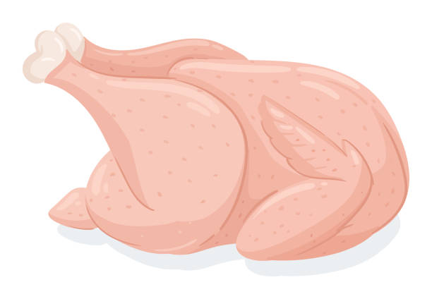 만화 닭고기입니다. 다리와 날개 고기가 있는 생 닭고기, 흰색 배경에 평면 벡터 삽화를 요리할 준비가 된 속을 채운 닭고기 - barbecue chicken illustrations stock illustrations