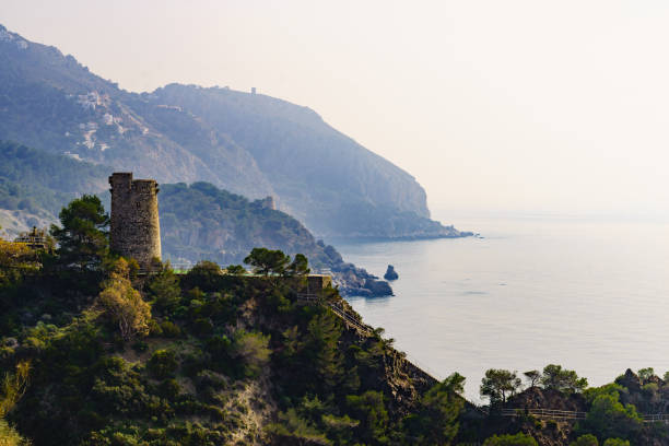 istock Coast view with Pine Tower, Andalusia Spain. 1457394403