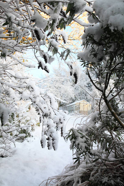 istock Glass house in winter 1457399359