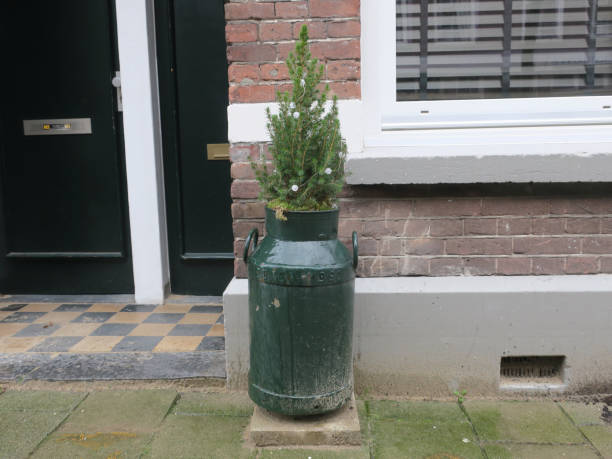 istock little christmas tree in a green painted milk can 1457405678