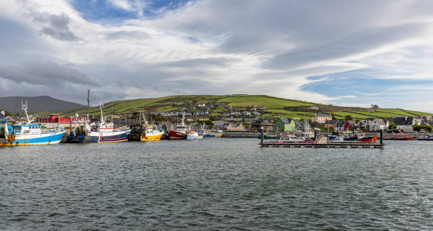 The Fishing Harbour of Dingle, Dingle Peninsula, Ireland. Panoramic. Dingle Harbour is set on Ireland’s southwest coast, on the southern shore of the Dingle Peninsula and the northwest side of the extensive Dingle Bay. The well sheltered natural harbour has a port on its northern shore that hosts a fishing port, a marina, and a shallow draft anchoring area adjacent to the provincial market town. dingle peninsula stock pictures, royalty-free photos & images