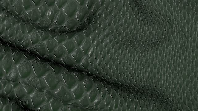 Background of the crocodile skin canvas is in motion.