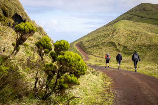 Rear view of a group of hikers in the central highlands of São Jorge island in the Azores.