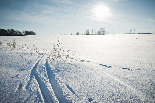 Winter scene of fresh snow in foreground with trees in background