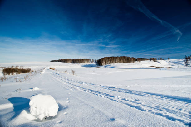 Cold winter landscape with deep blue sky, snow fields and tracks in the snow.