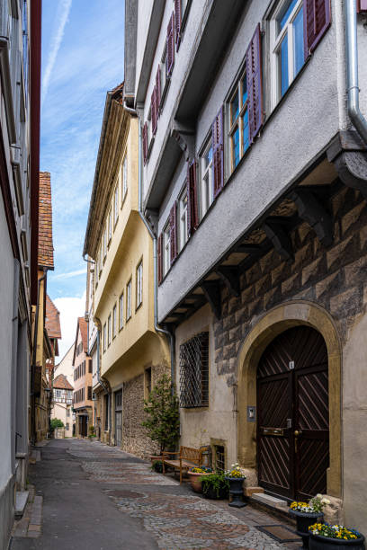 istock Old half-timber houses with colored shutters and long alleys 1457417026