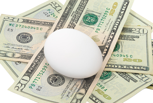A single egg sitting on five $20s illustrating high prices of eggs.