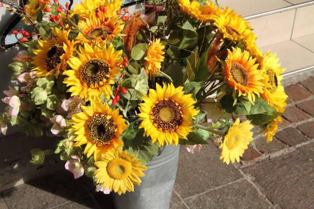 istock yellow sunflowers in a bucket 1457423839