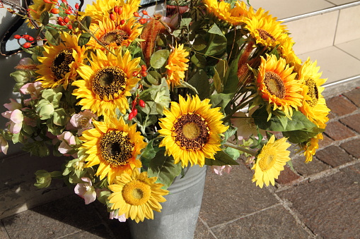 yellow sunflowers in a bucket
