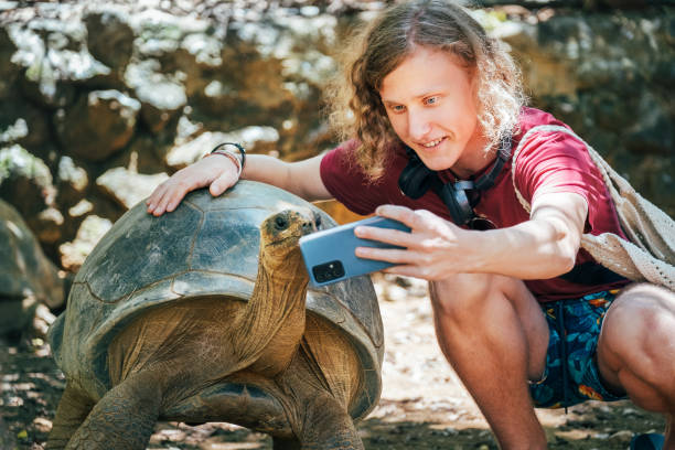istock Smiling tourist boy making a selfie using cell phone with Aldabra giant tortoise endemic species - one of the largest tortoises in the world in the zoo nature park on Mauritius island. 1457425376