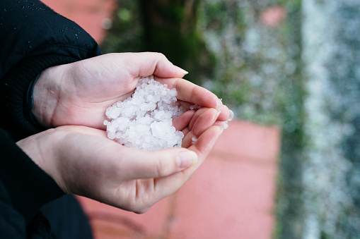 A hand holding hail spheres after a hailstorm