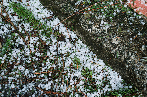 Close-up of hail on the ground