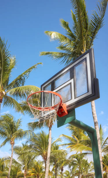 istock Basketball ring and backboard with coconut palm trees in background. 1457427522