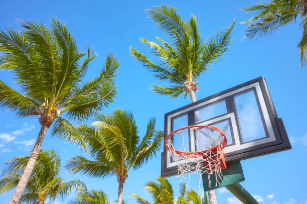 Basketball ring and backboard with coconut palm trees in background.