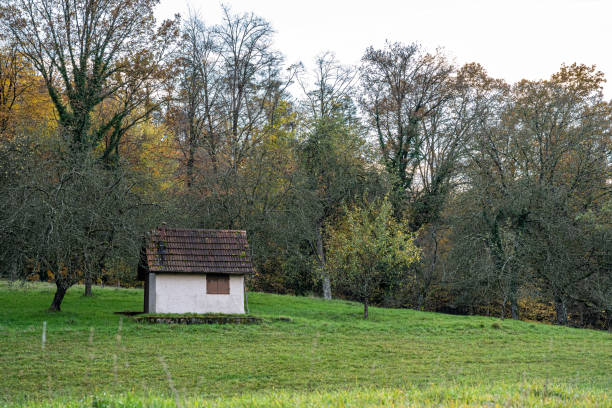Little hut on the meadow near the forest