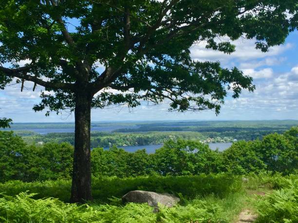 istock Belgrade Lakes Maine from Blueberry Hill 1457440680