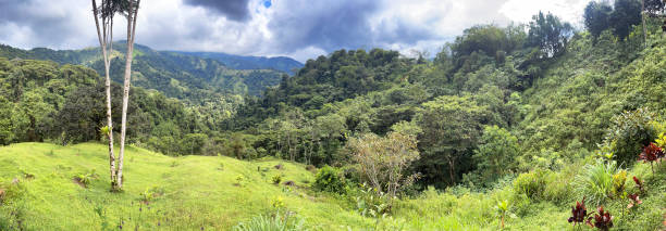 istock Dramatic panoramic valley landscape, Santa Juana, Costa Rica 1457444633