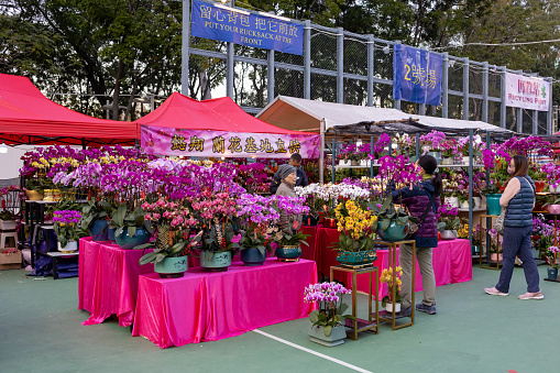 Hong Kong - January 18, 2023 : People at the Victoria Park Chinese New Year Flower Market in preparation for the Chinese New Year, the Year of the Rabbit in Causeway Bay, Hong Kong.
