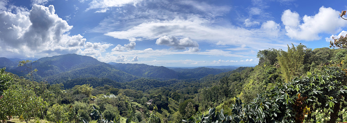 Shimmering vibrant colours and diversity of species marks Costa Rica as one of the principal Central America countries with a coastal territory and tropical rainforest that hosts migration from north America and south America to give it unparalleled numbers and variation of birdlife