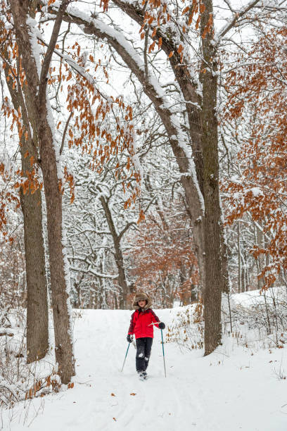 Young boy cross country skiing in the woods on a winter day.