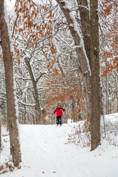 istock Boy Cross Country Skiing on Winter Day 1457450145