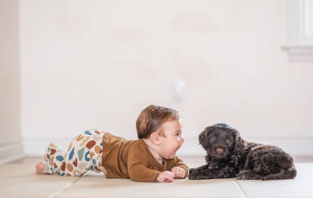 istock Baby with a Puppy 1457459863