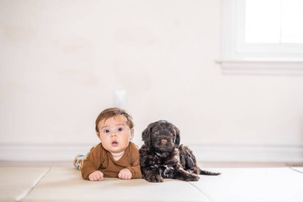istock Baby with a Puppy 1457459875