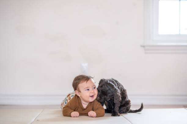 istock Baby with a Puppy 1457459880