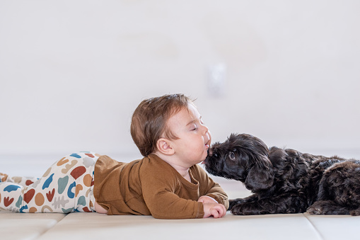 A sweet little baby boy lays on his stomach on the floor as he comes face-to-face with a black puppy dog.  The baby is dressed casually and is laughing as the dog licks his face.