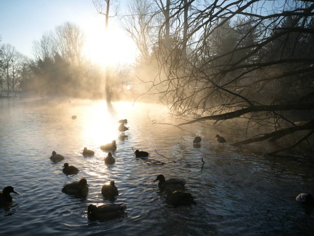 istock Park in winter morning 1457465017