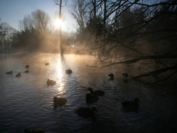 istock Park in winter morning 1457465135