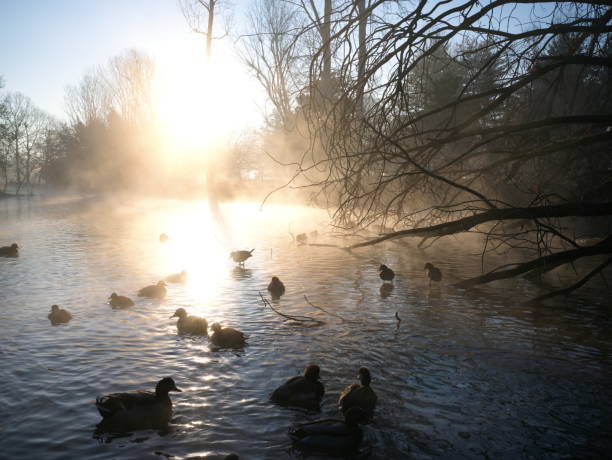 istock Park in winter morning 1457465137