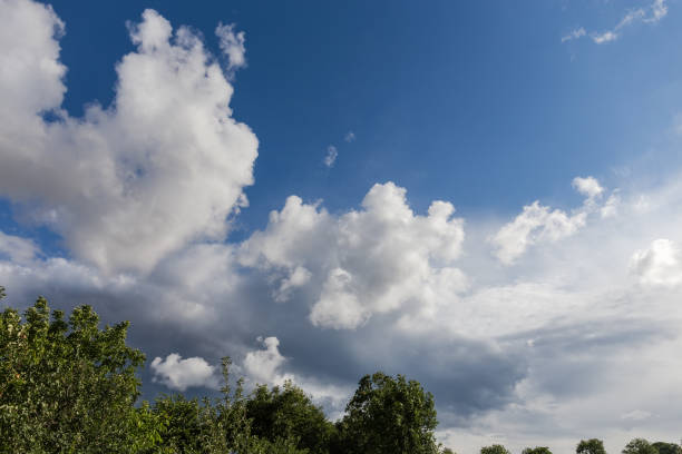 istock Fragment of the sky with clouds over the tree tops 1457465200