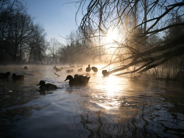 istock Park in winter morning 1457465223