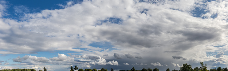 Part of the sky covered with cumulus and storm clouds over the silhouettes of tree tops on a horizon, wide panoramic view