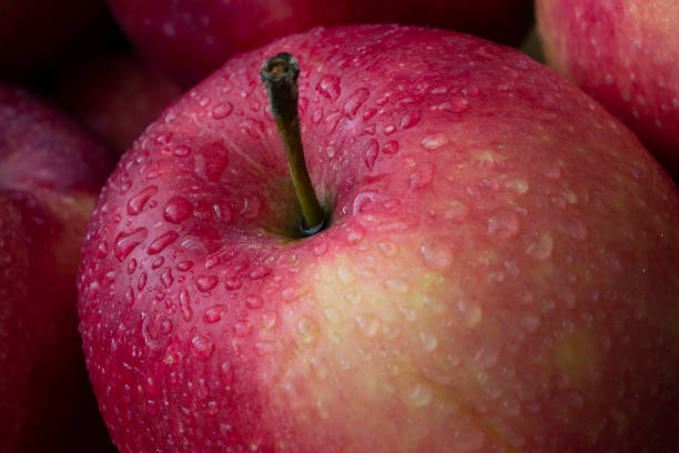istock red wet apple with big droplet, macro shot 1457469038