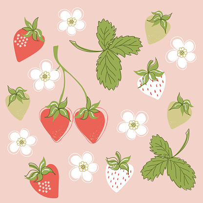 Colorful strawberry set in beautiful style for decorative design. Vector illustrations collection of berries, flowers and leaves. Summer season's healthy food.