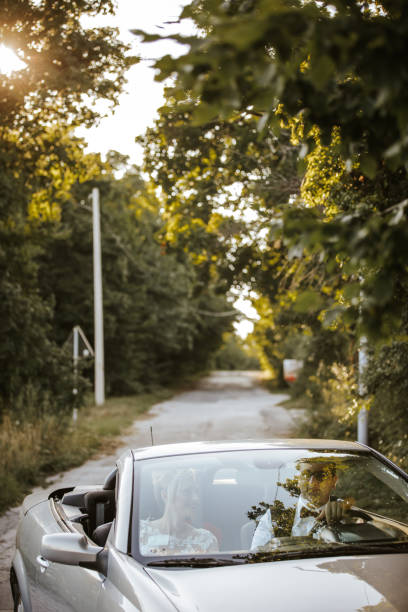 View through the windscreen of the car to the road with road sign and green bushes on both sides of the road. Selective focus.