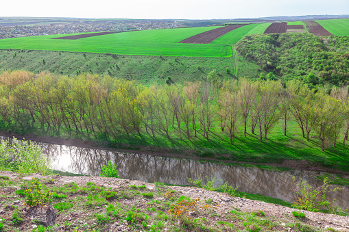 Drone View Of A River Between Fields . Springtime scenery aerial view