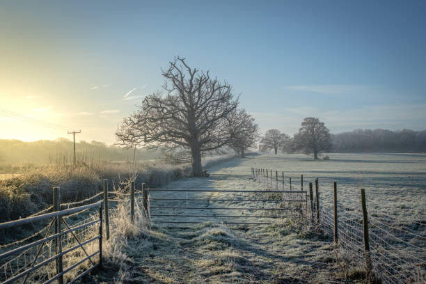istock Country road ending with gate on a farm 1457502090