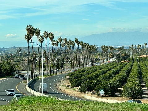 View of the Van Buren Blvd. by the Citrus State Historic Park