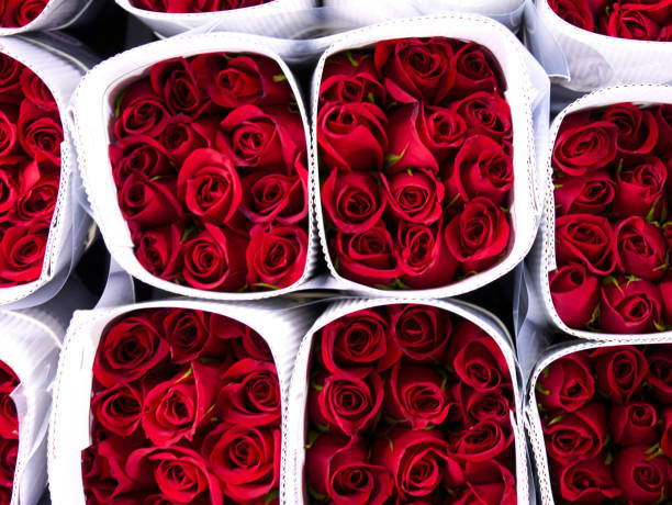 Flowers for sale in a special cold room with air conditioning. Refrigerator for flowers