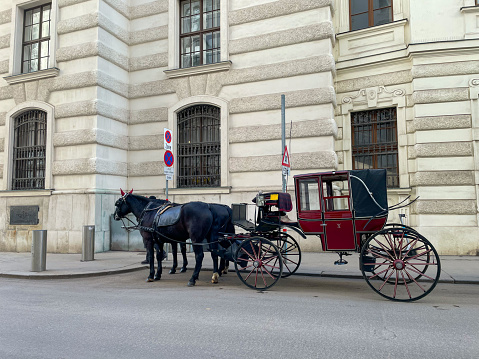 Horse carriage with old buildings in the city of Vienna