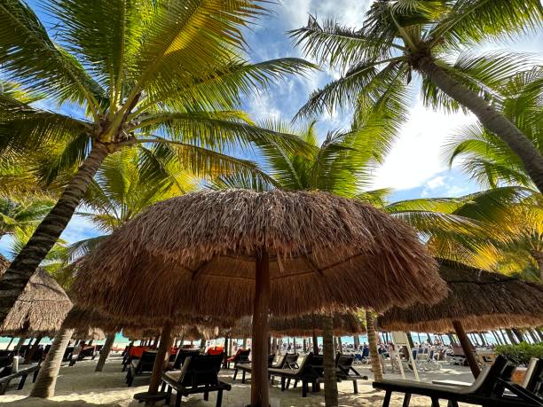 istock Close-up of Palapa  on beach 1457512586